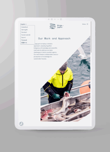 Birgejumpi, ideen om selvforsyning og KI prosjektillustrasjon