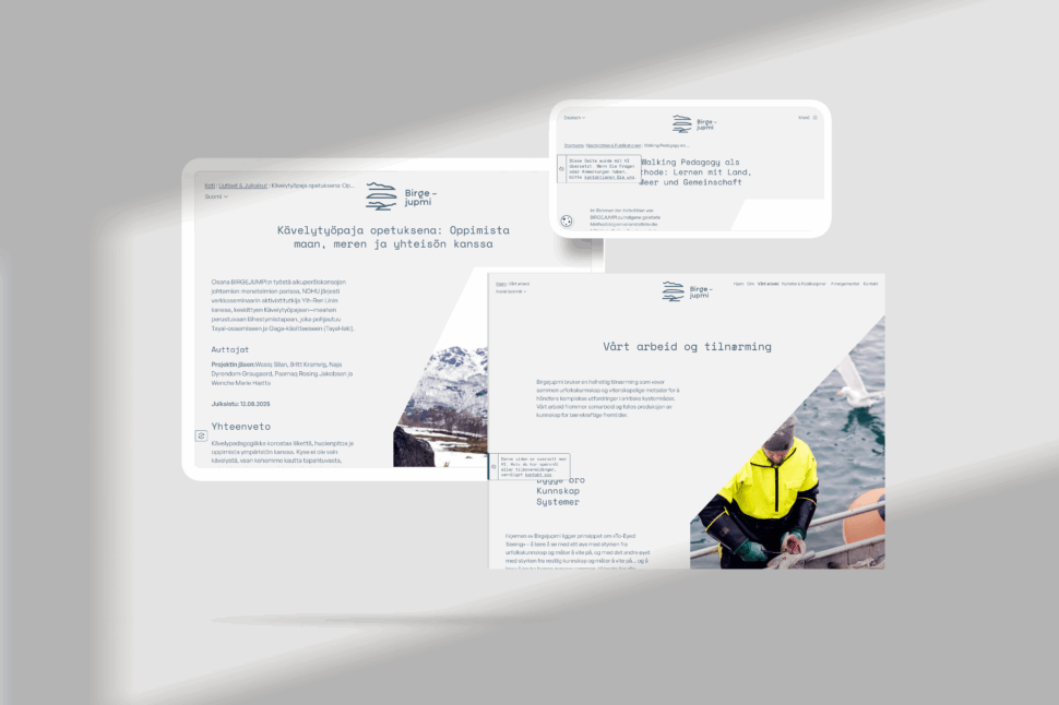 Birgejumpi, ideen om selvforsyning og KI prosjektillustrasjon