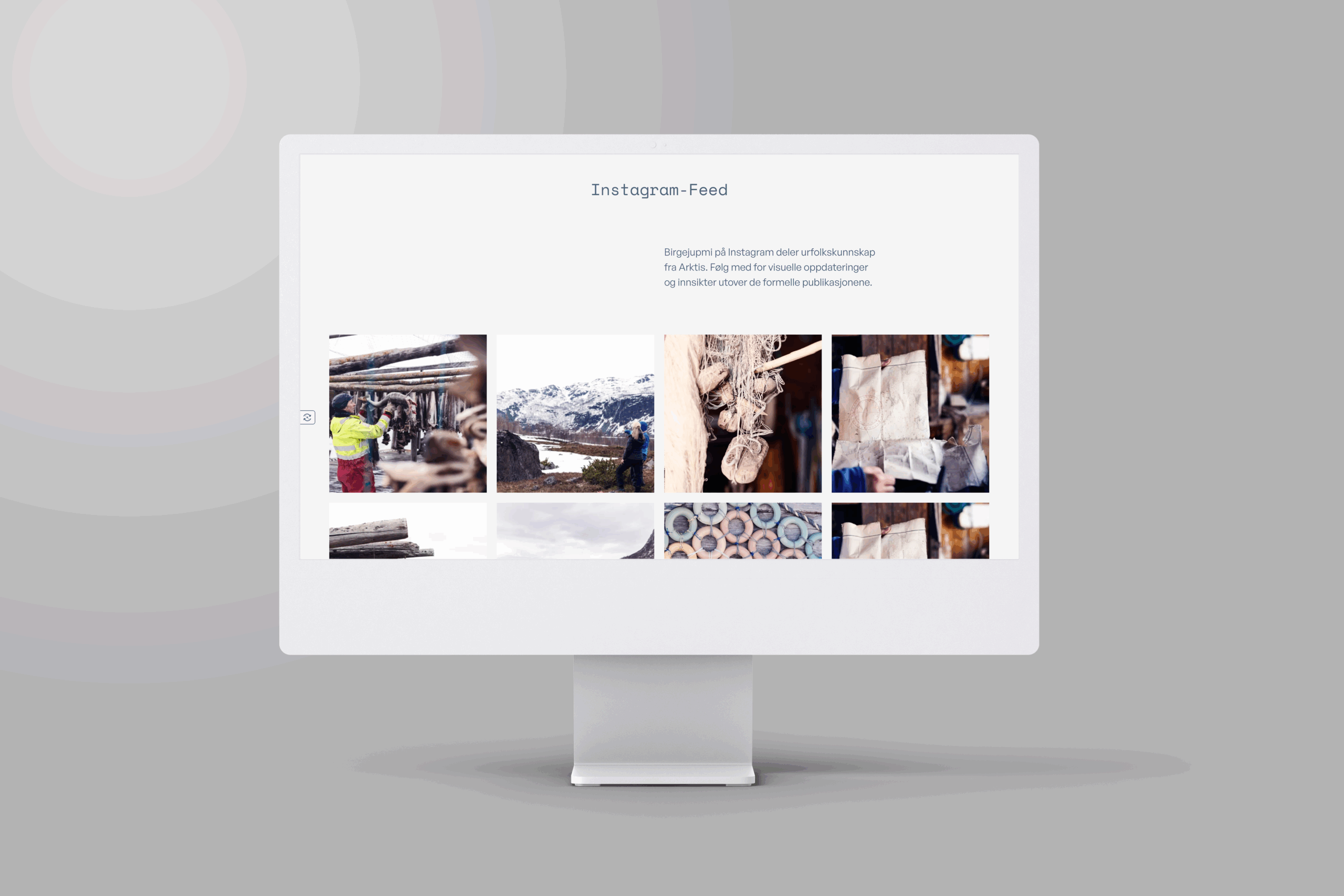 Birgejumpi, ideen om selvforsyning og KI prosjektillustrasjon