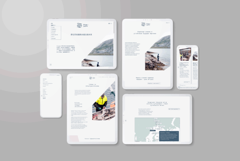 Birgejumpi, ideen om selvforsyning og KI prosjektillustrasjon