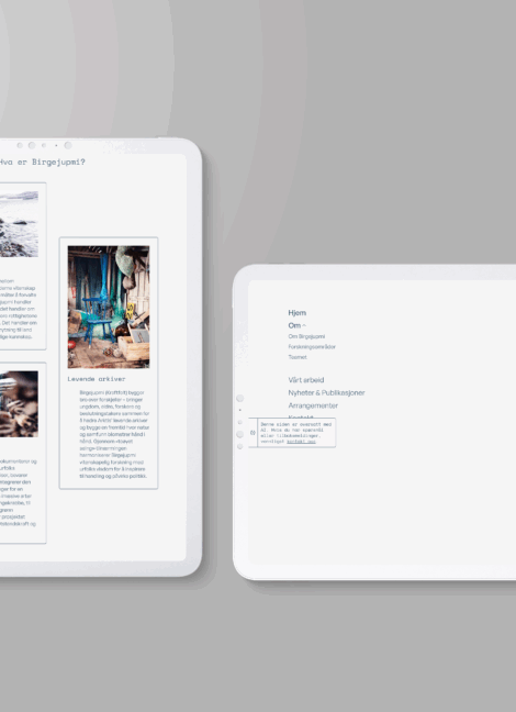 Birgejumpi, ideen om selvforsyning og KI prosjektillustrasjon