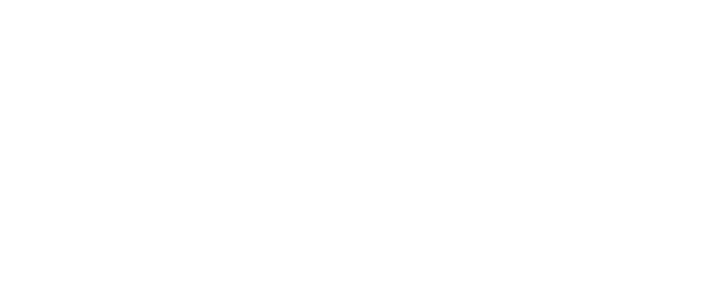 BlueBin